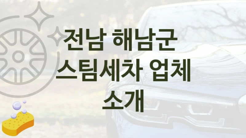 전남 해남군 
스팀세차 업체 소개