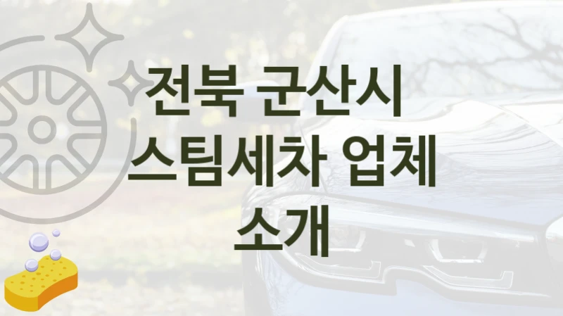 전북 군산시 
스팀세차 업체 소개