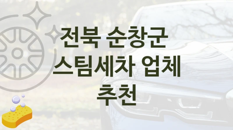 전북 순창군 
스팀세차 업체 추천