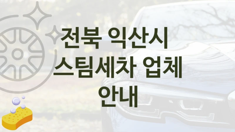 전북 익산시 
스팀세차 업체 안내