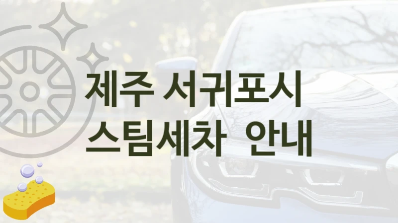 제주 서귀포시 
스팀세차  안내