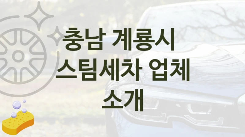 충남 계룡시 
스팀세차 업체 소개