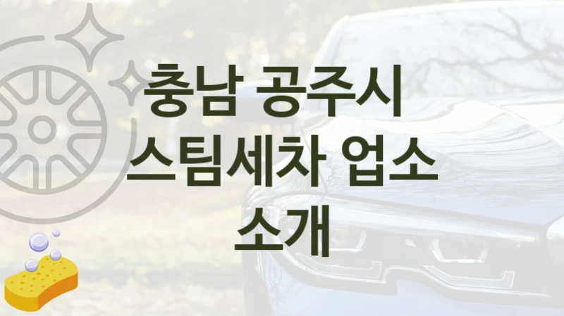 충남 공주시 
스팀세차 업소 소개
