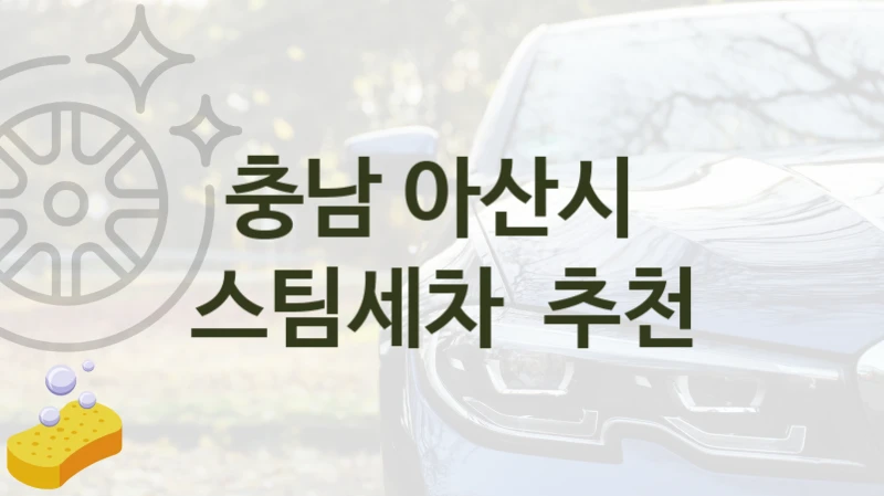 충남 아산시 
스팀세차  추천