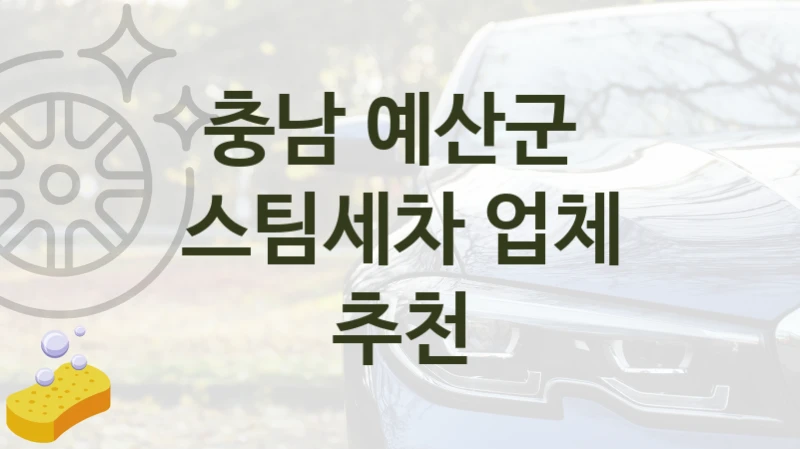 충남 예산군 
스팀세차 업체 추천