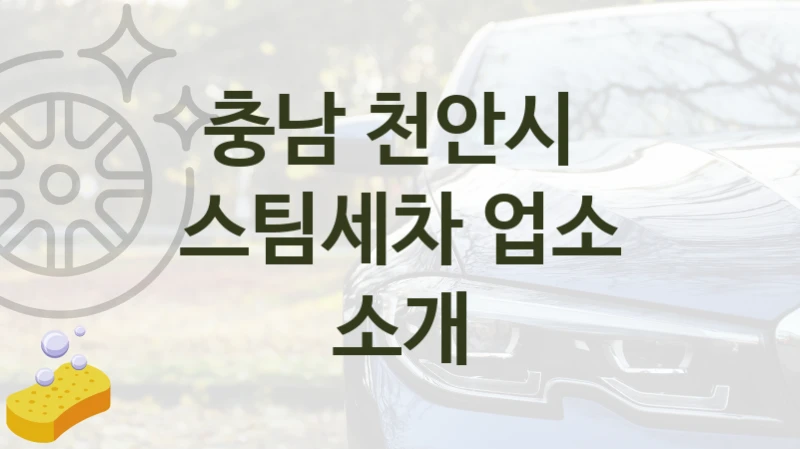 충남 천안시 
스팀세차 업소 소개