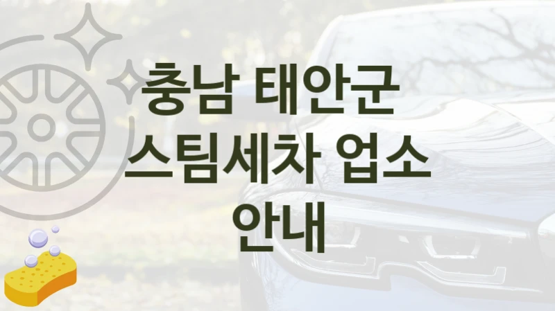충남 태안군 
스팀세차 업소 안내