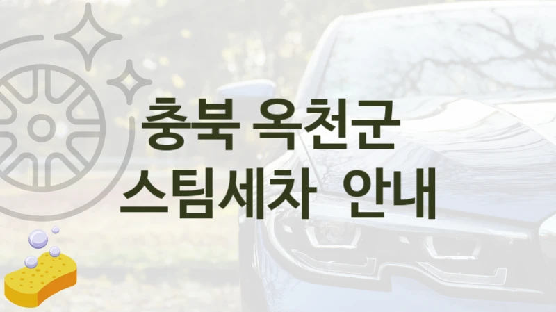 충북 옥천군 
스팀세차  안내