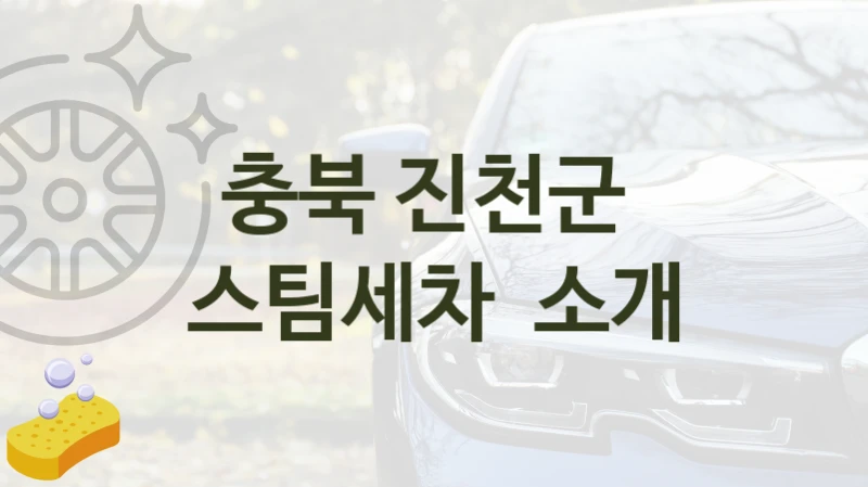충북 진천군 
스팀세차  소개