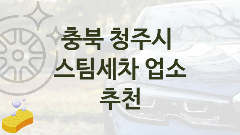 충북 청주시 
스팀세차 업소 추천
