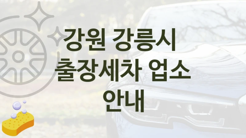 강원 강릉시 
출장세차 업소 안내