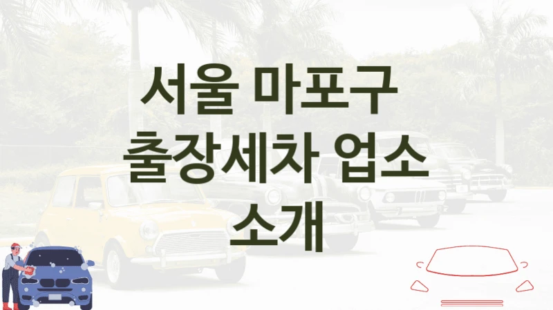 서울 마포구 
출장세차 업소 소개