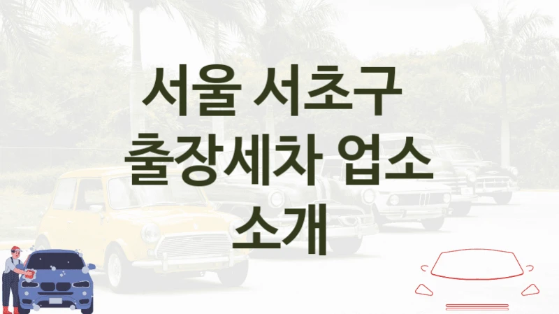 서울 서초구 
출장세차 업소 소개
