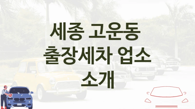 세종 고운동 
출장세차 업소 소개