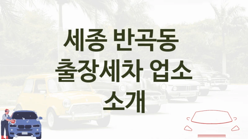 세종 반곡동 
출장세차 업소 소개