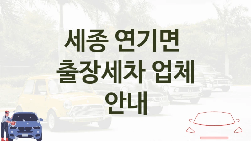 세종 연기면 
출장세차 업체 안내
