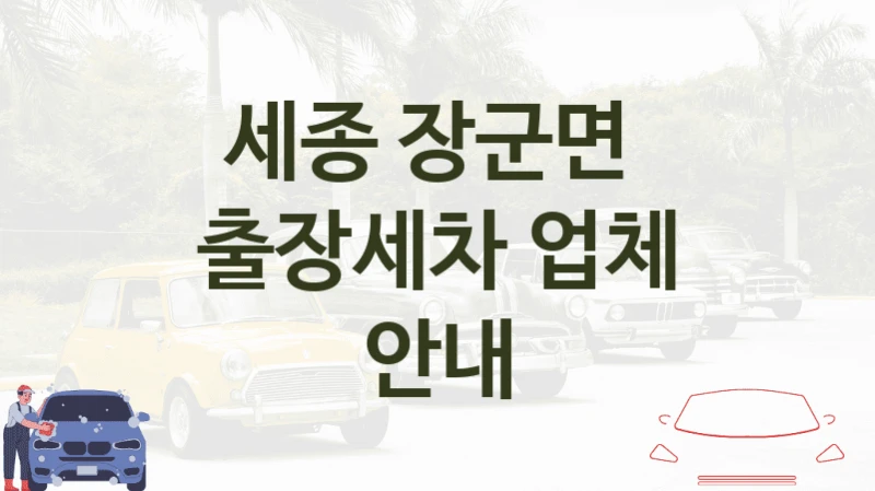 세종 장군면 
출장세차 업체 안내