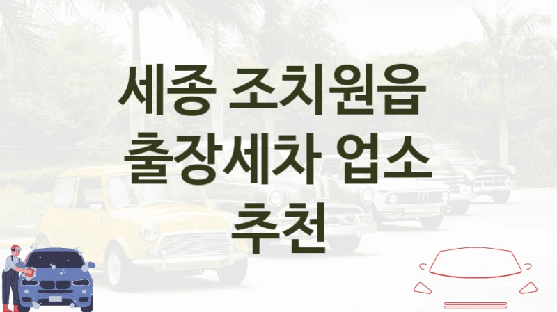 세종 조치원읍 
출장세차 업소 추천