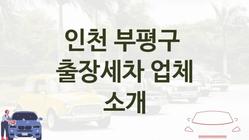 인천 부평구 
출장세차 업체 소개