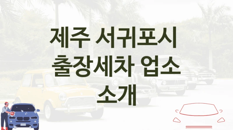 제주 서귀포시 
출장세차 업소 소개