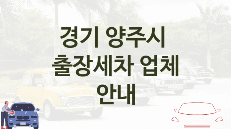 경기 양주시 
출장세차 업체 안내