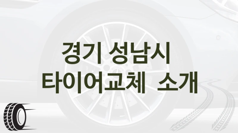 경기 성남시 
타이어교체  소개