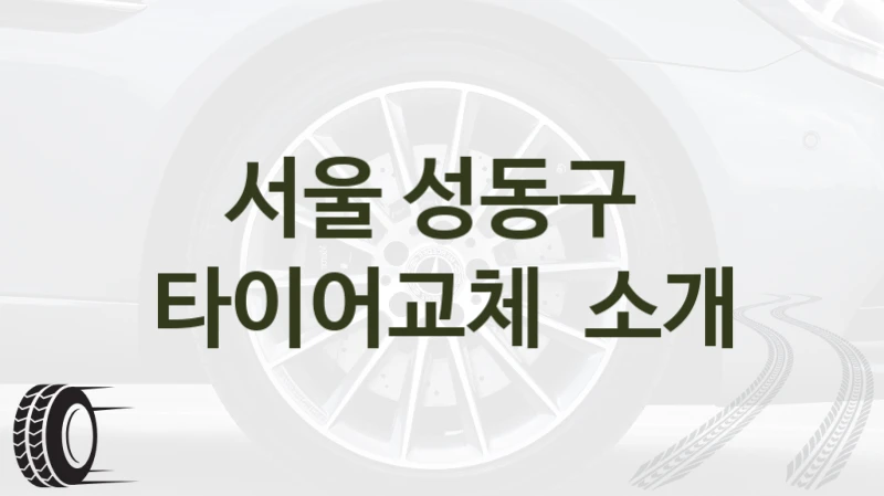서울 성동구 
타이어교체  소개