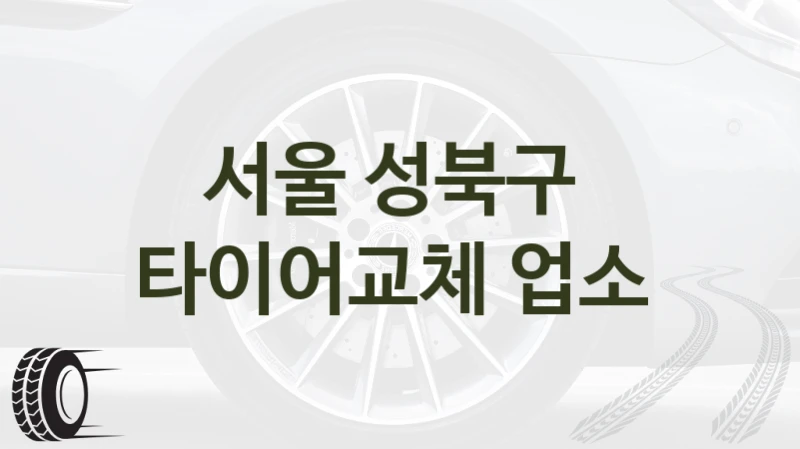 서울 성북구 
타이어교체 업소