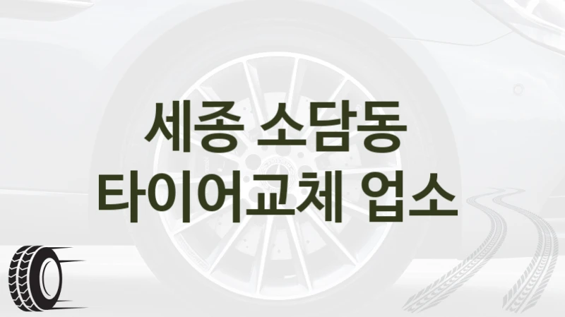 세종 소담동 
타이어교체 업소
