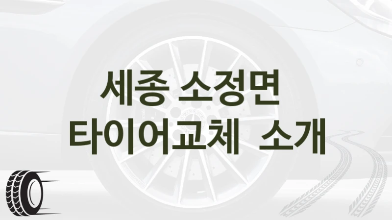 세종 소정면 
타이어교체  소개