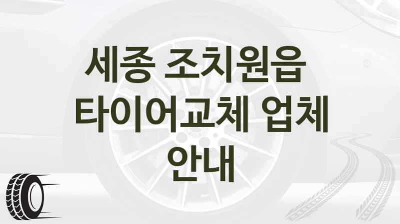 세종 조치원읍 
타이어교체 업체 안내