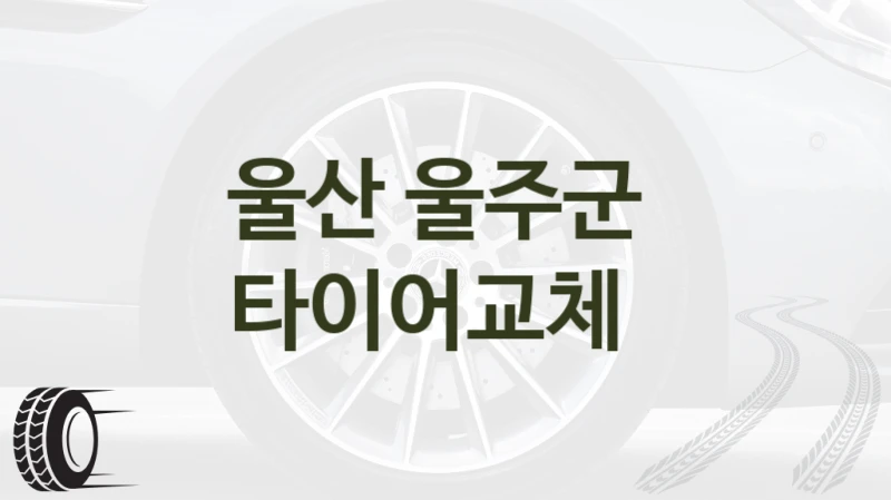 울산 울주군 
타이어교체