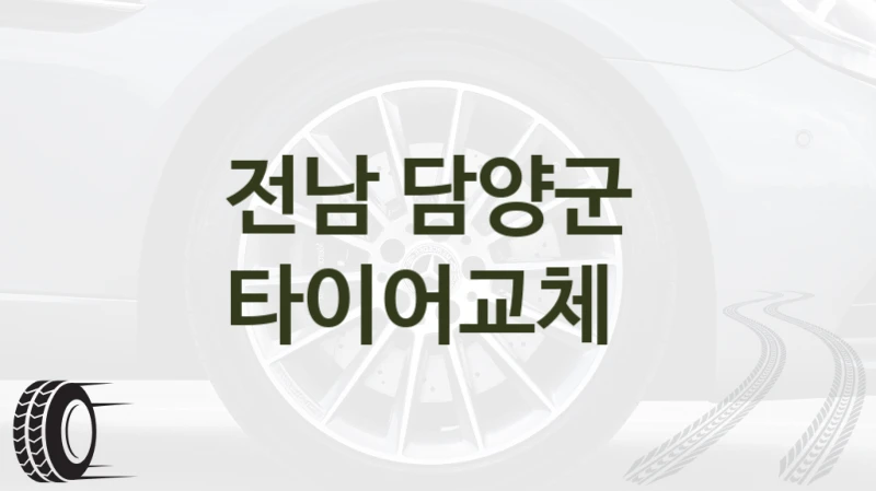 전남 담양군 
타이어교체