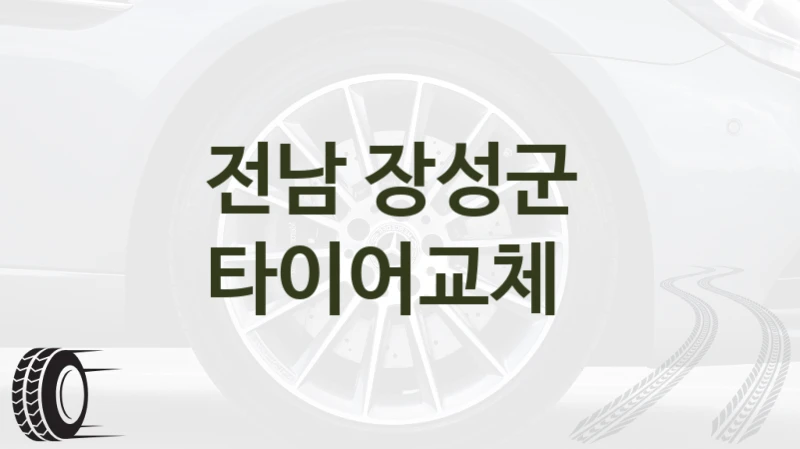 전남 장성군 
타이어교체