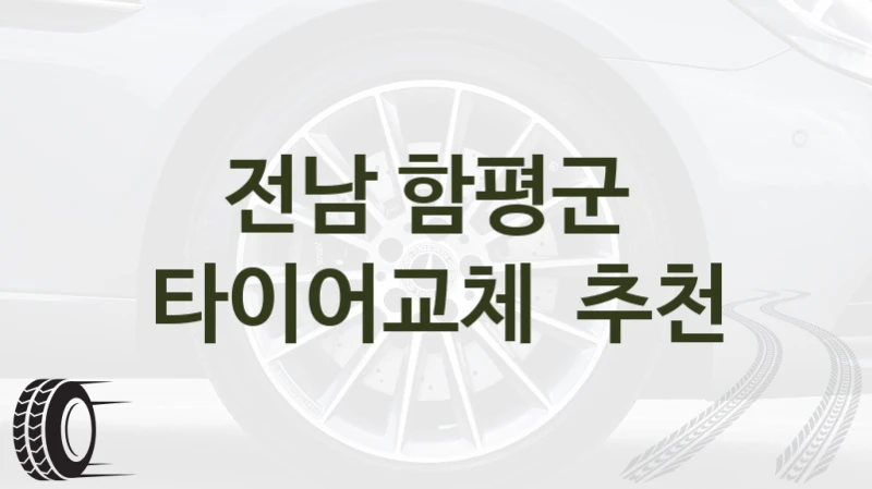 전남 함평군 
타이어교체  추천