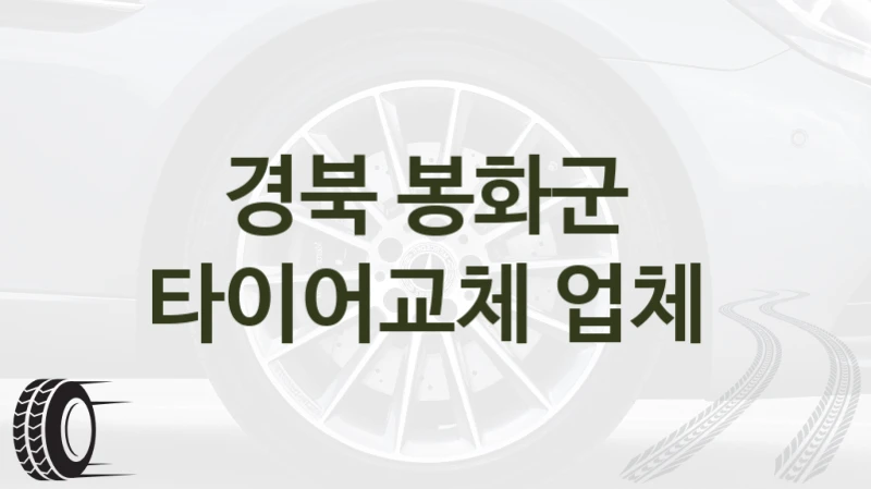 경북 봉화군 
타이어교체 업체