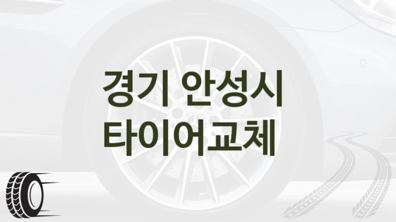경기 안성시 
타이어교체