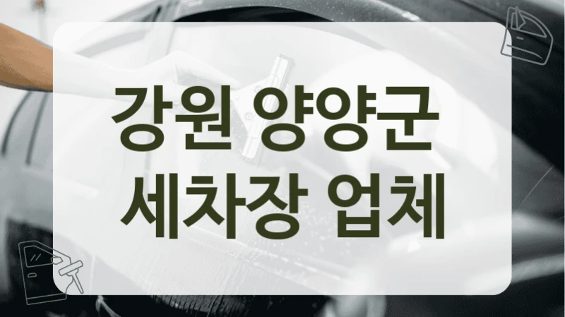 양양군 세차 매니아 추천 모음