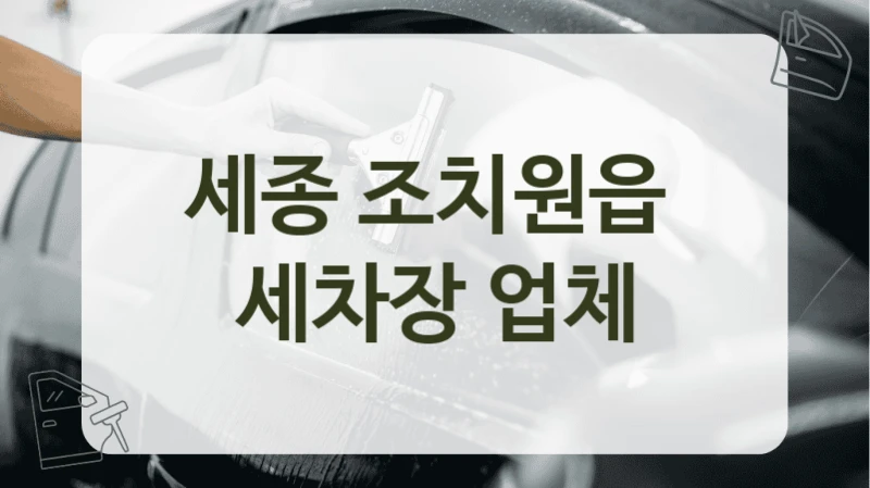 세종 조치원읍  세차장 업체