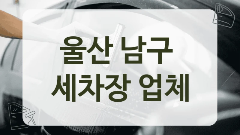 울산 남구 세차 전문가 있는 세차장 추천